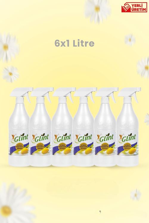 GLİNT Bitkisel İçerikli Temizlik- 6x1 Litre