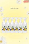 GLİNT Bitkisel İçerikli Temizlik- 6x1 Litre